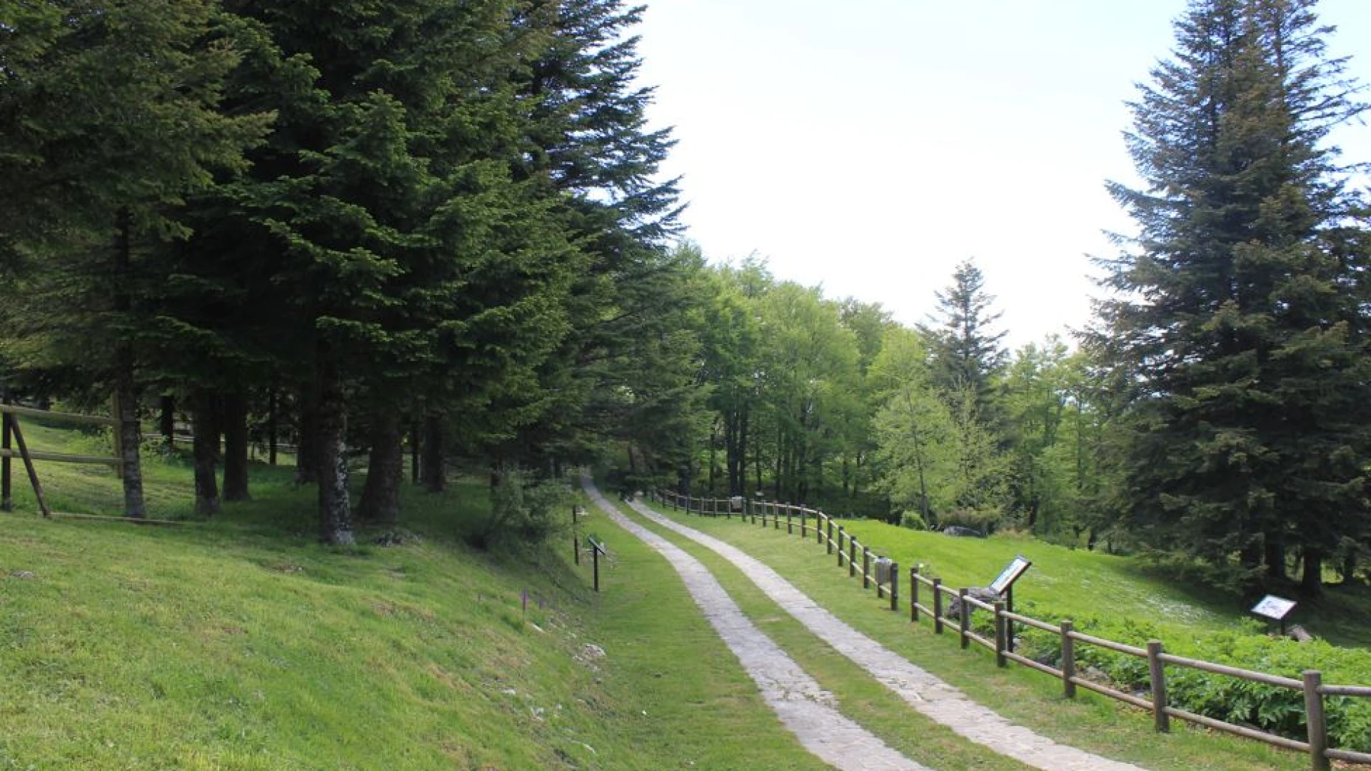 Candido Paglione (sindaco di Capracotta): il Giardino della Flora Appenninica al centro di un progetto di citizen science finanziato dal National Biodiversity Future Center.